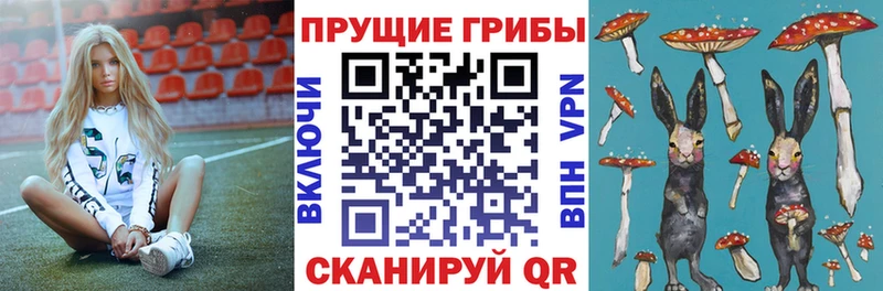 где найти   omg зеркало  Галлюциногенные грибы мухоморы  Павлово 